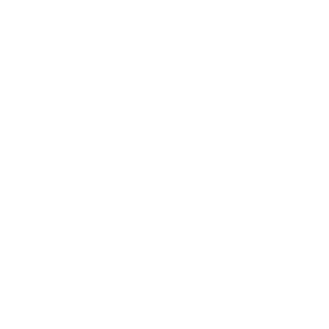 AI Act